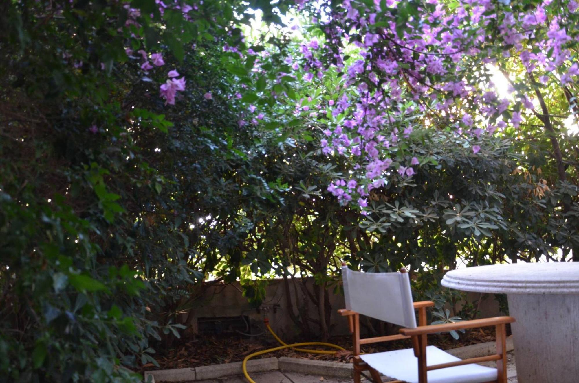 Fantastic Sardinia Villette Con Giardino Fronte Mare Fertilia Faho-Gav01-Gav02 Dış mekan fotoğraf
