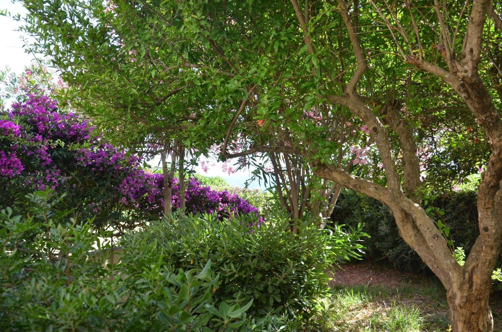 Fantastic Sardinia Villette Con Giardino Fronte Mare Fertilia Faho-Gav01-Gav02 Dış mekan fotoğraf
