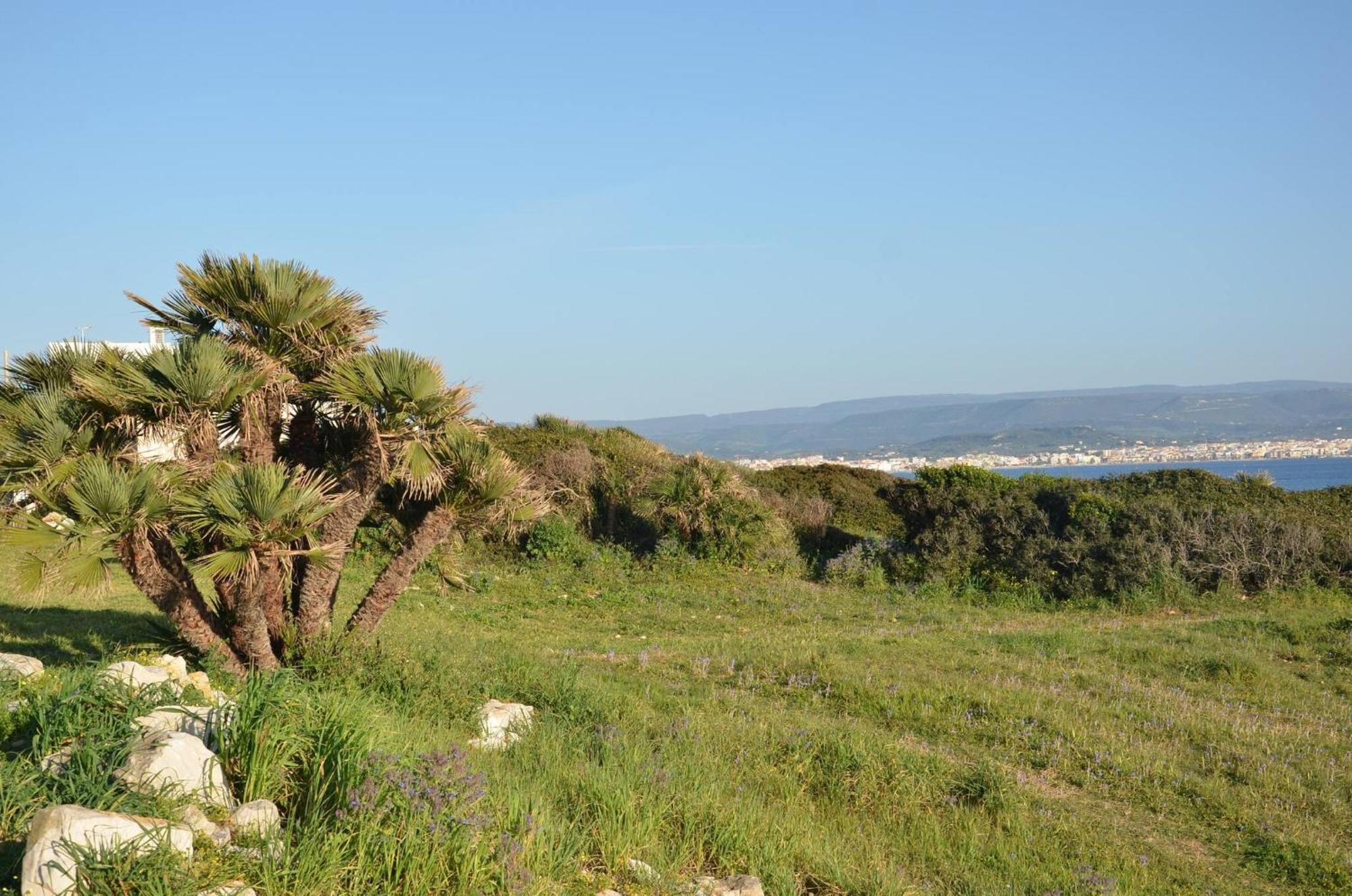 Fantastic Sardinia Villette Con Giardino Fronte Mare Fertilia Faho-Gav01-Gav02 Dış mekan fotoğraf