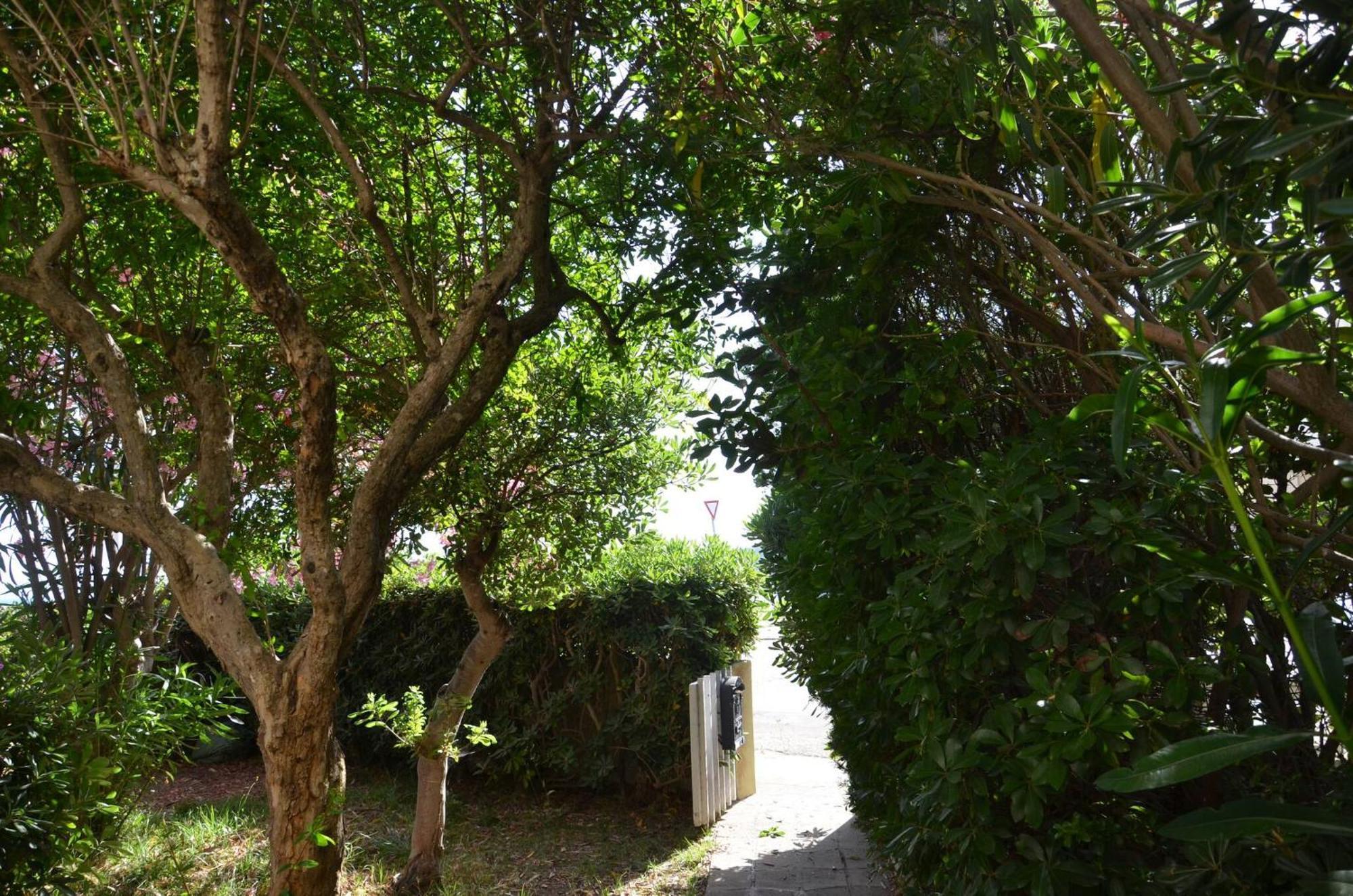 Fantastic Sardinia Villette Con Giardino Fronte Mare Fertilia Faho-Gav01-Gav02 Dış mekan fotoğraf