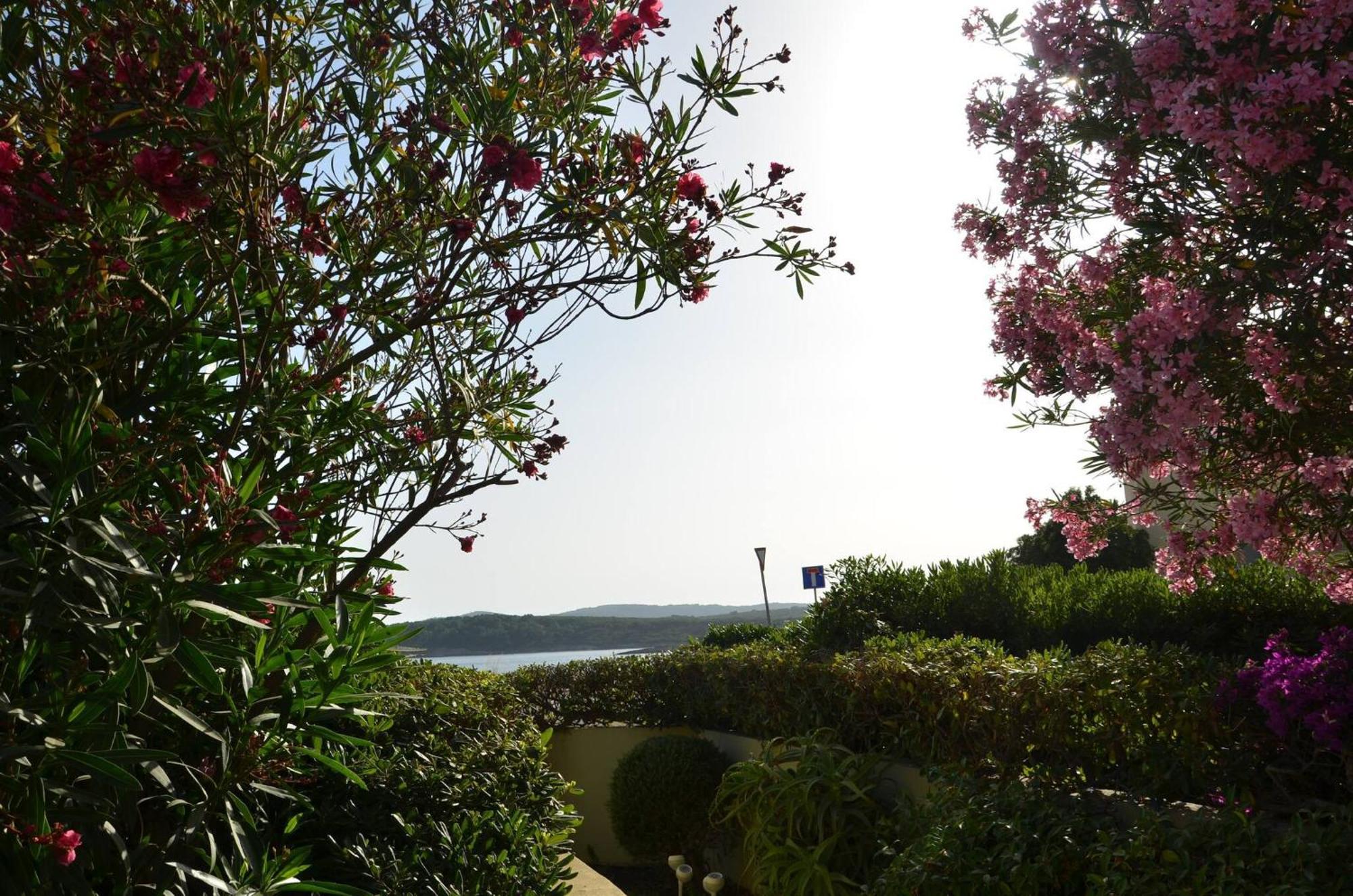 Fantastic Sardinia Villette Con Giardino Fronte Mare Fertilia Faho-Gav01-Gav02 Dış mekan fotoğraf