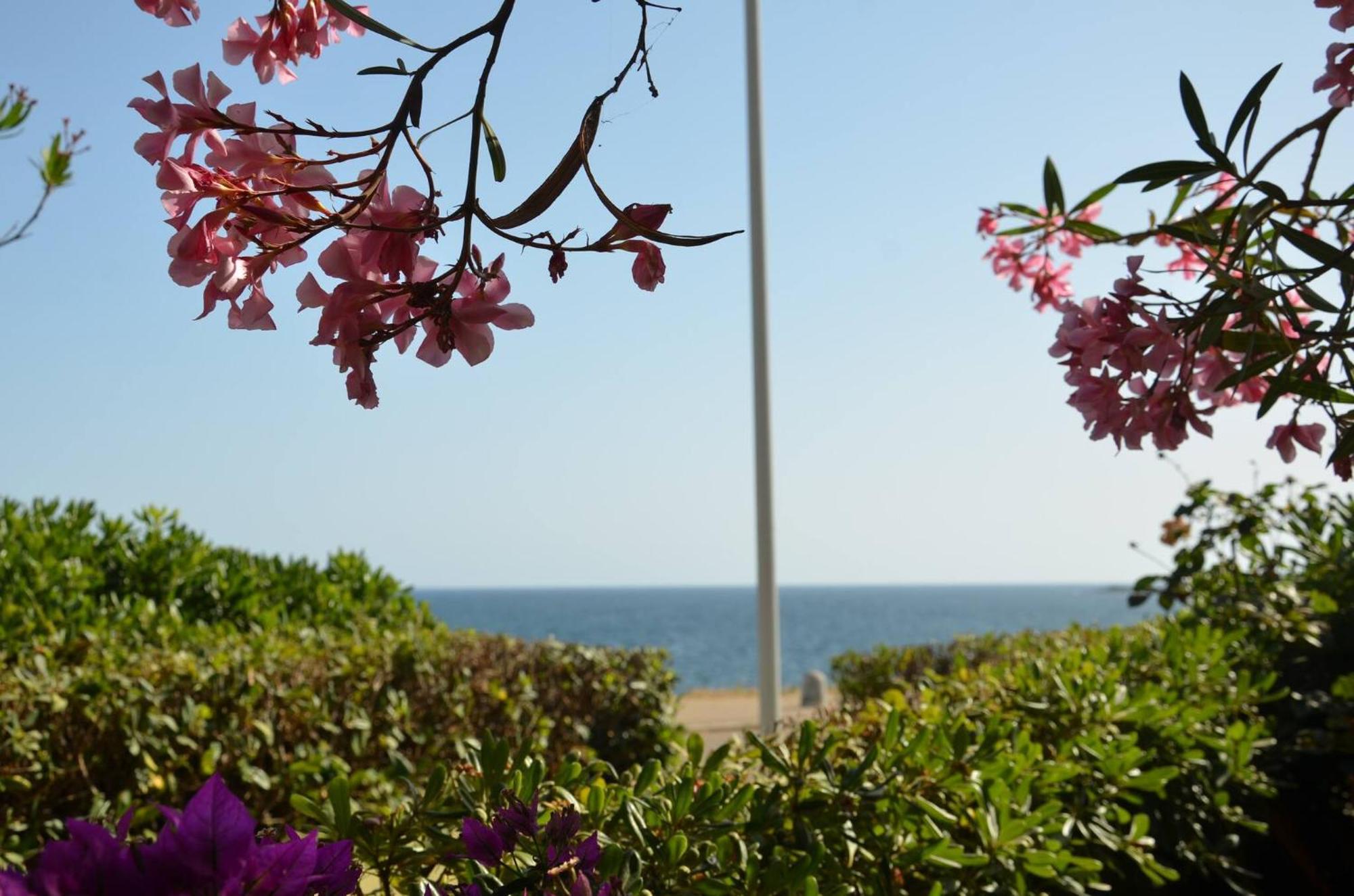 Fantastic Sardinia Villette Con Giardino Fronte Mare Fertilia Faho-Gav01-Gav02 Dış mekan fotoğraf