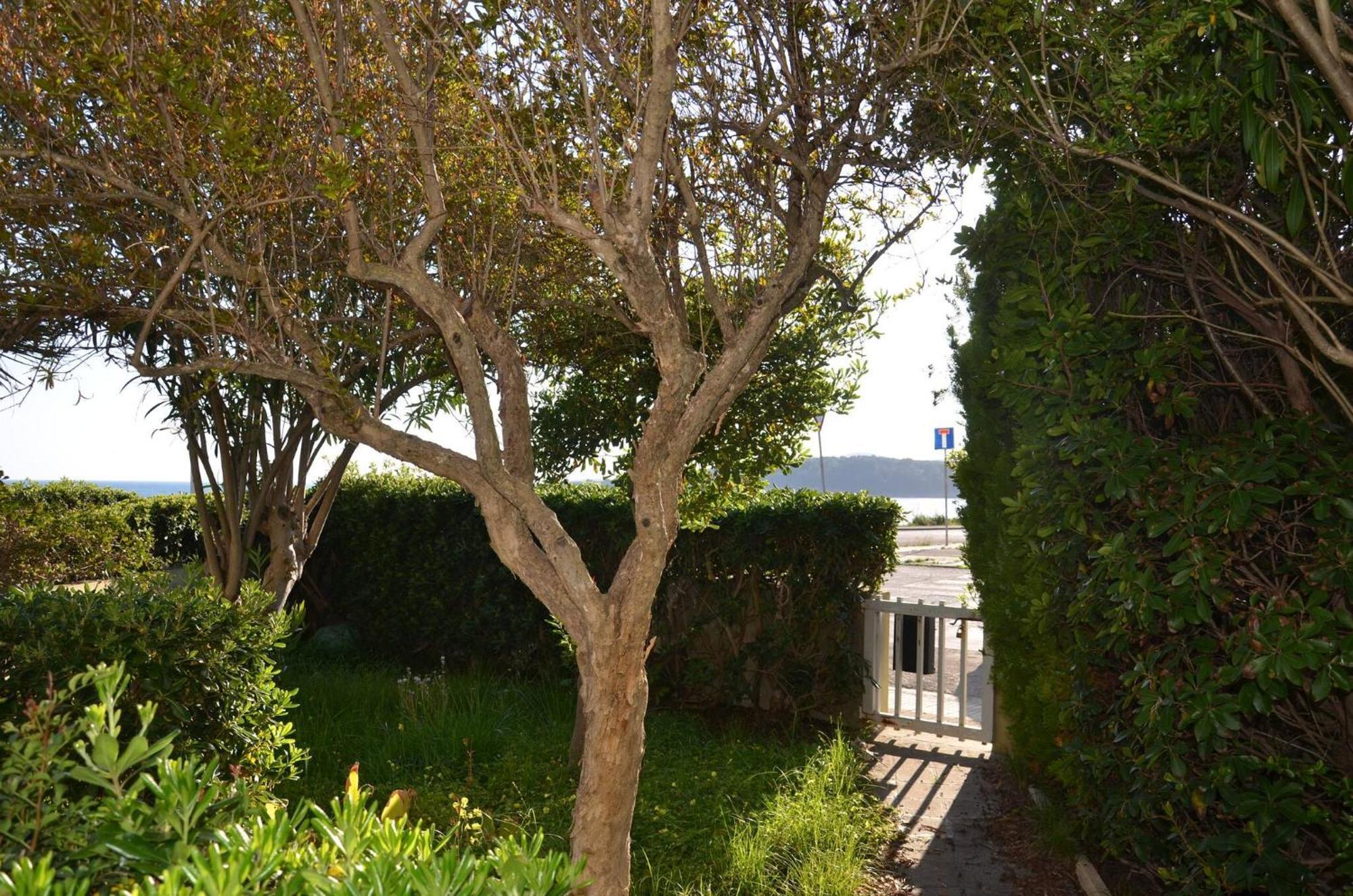 Fantastic Sardinia Villette Con Giardino Fronte Mare Fertilia Faho-Gav01-Gav02 Dış mekan fotoğraf