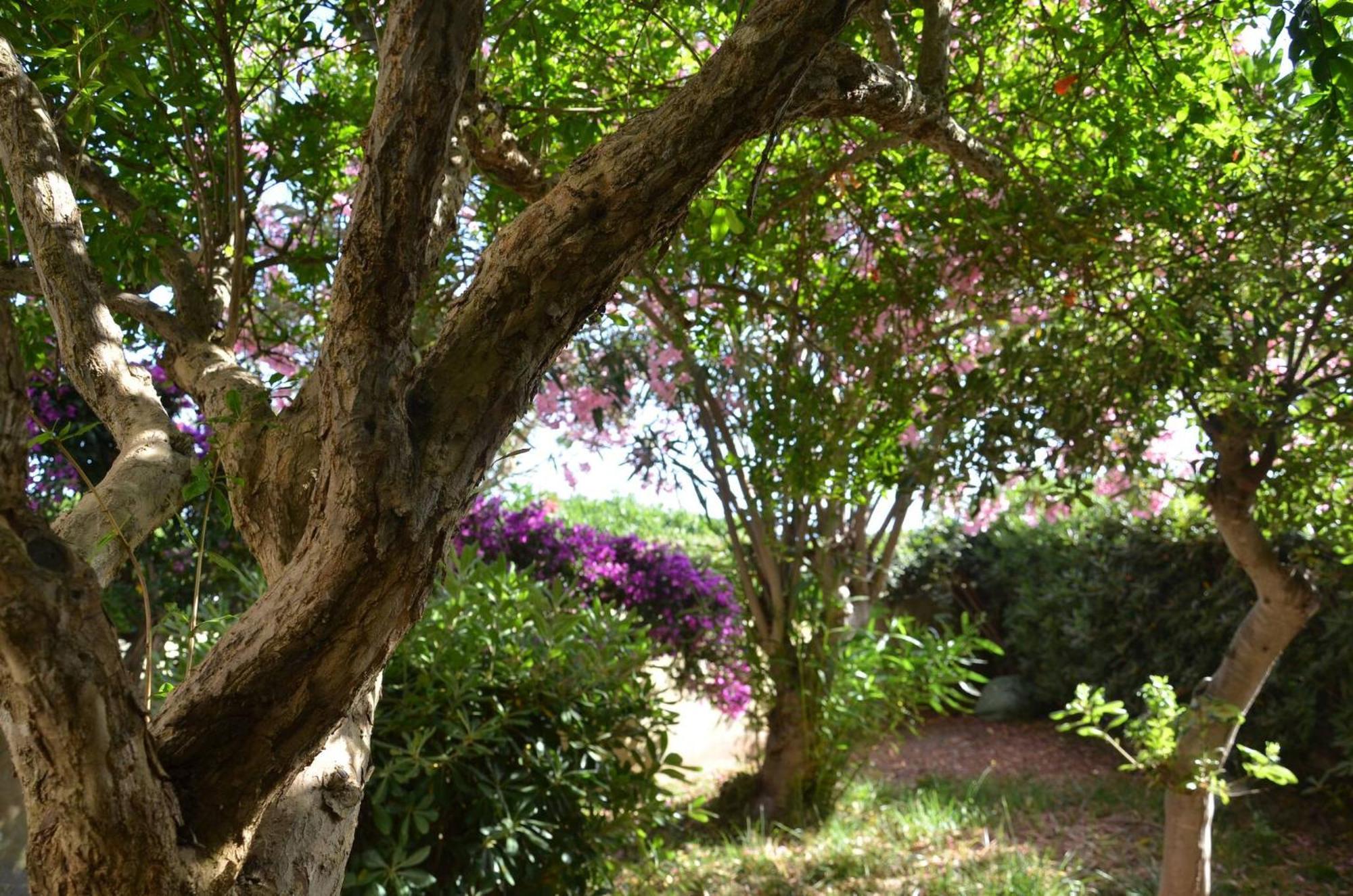 Fantastic Sardinia Villette Con Giardino Fronte Mare Fertilia Faho-Gav01-Gav02 Dış mekan fotoğraf